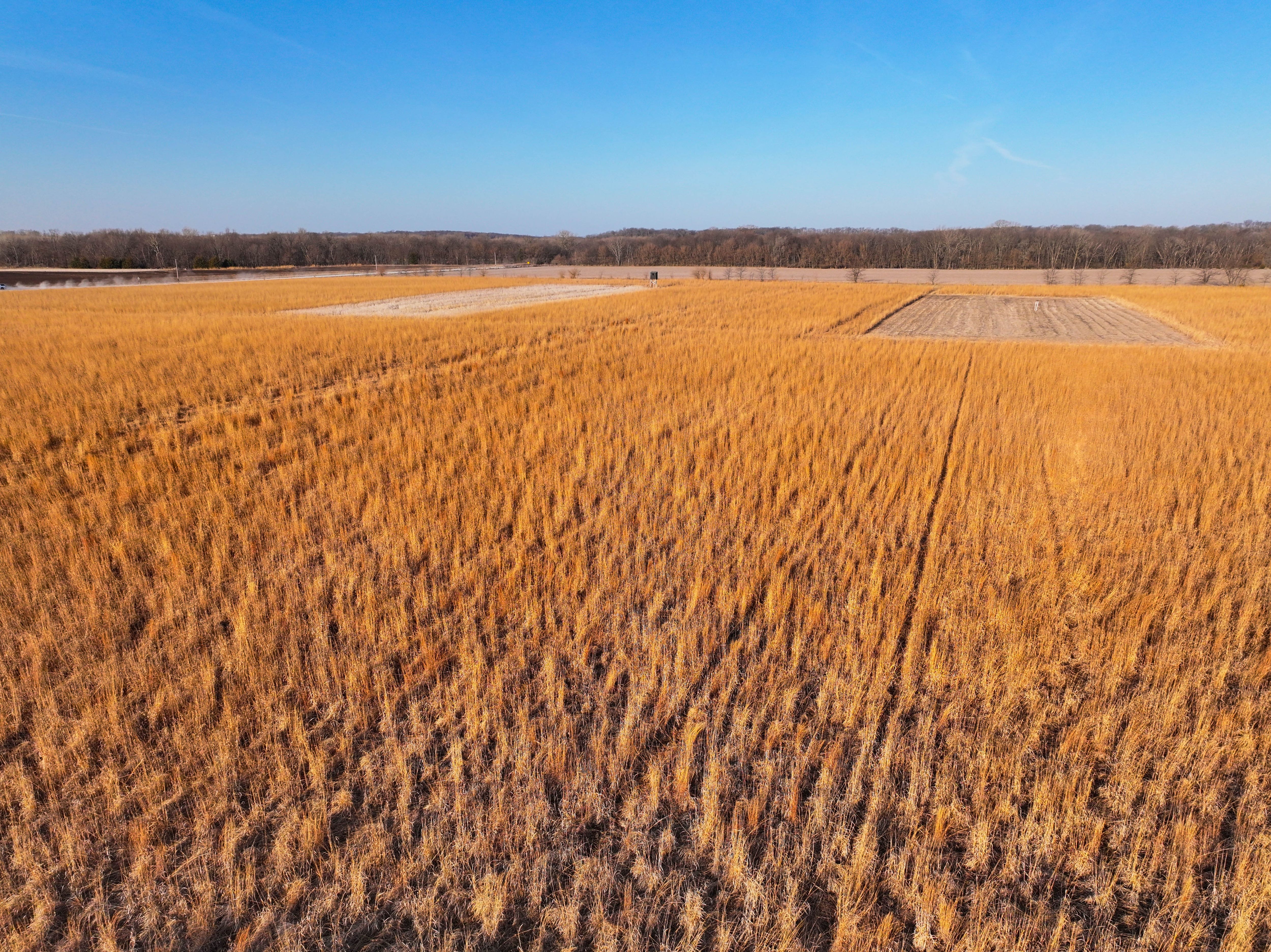 Listing Photo: Johnson County Recreational Farm For Sale-4